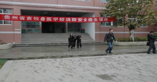 贵州省畜牧兽医学校学院风光