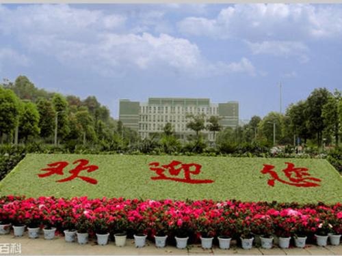 重庆城市管理职业学院学院风光
