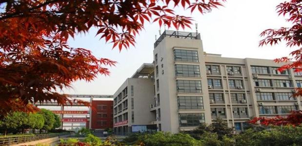 重庆电子工程职业学院学校一角