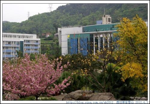 重庆邮电大学继续教育学院学校一角