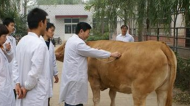 贵州省畜牧兽医学校地址在哪里