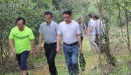 贵州省林业学校园林绿化专业怎么样